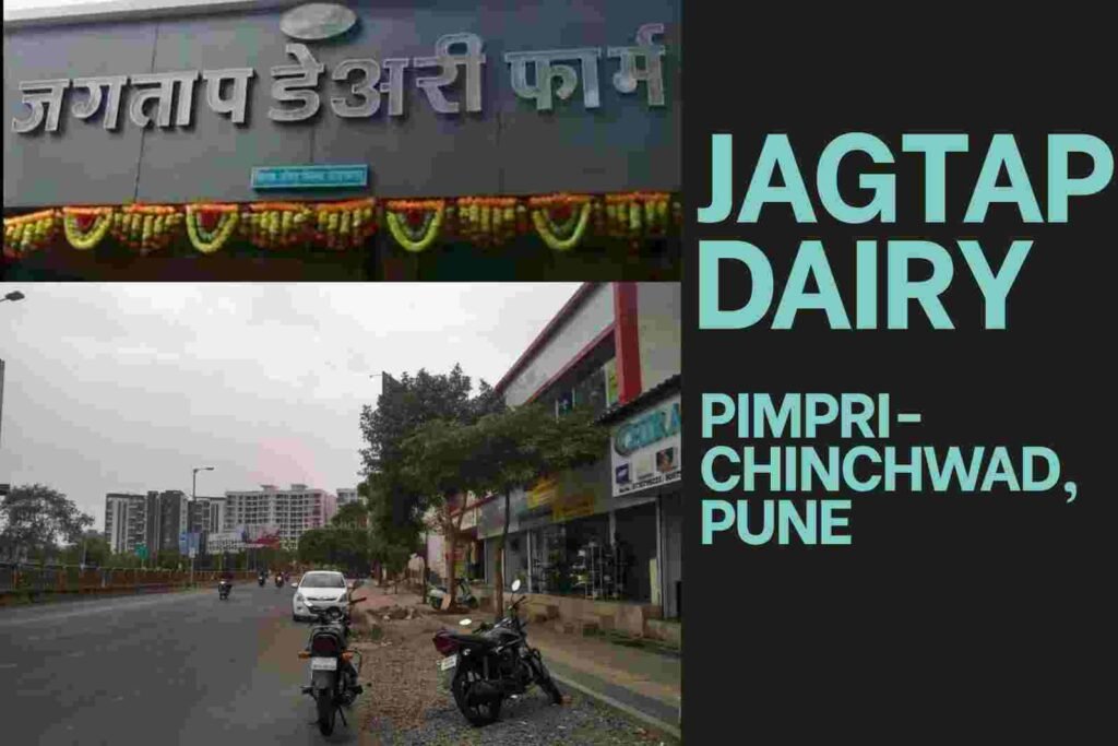 Jagtap Dairy